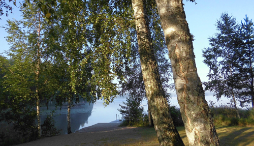 Pensionärsveckan Frisk